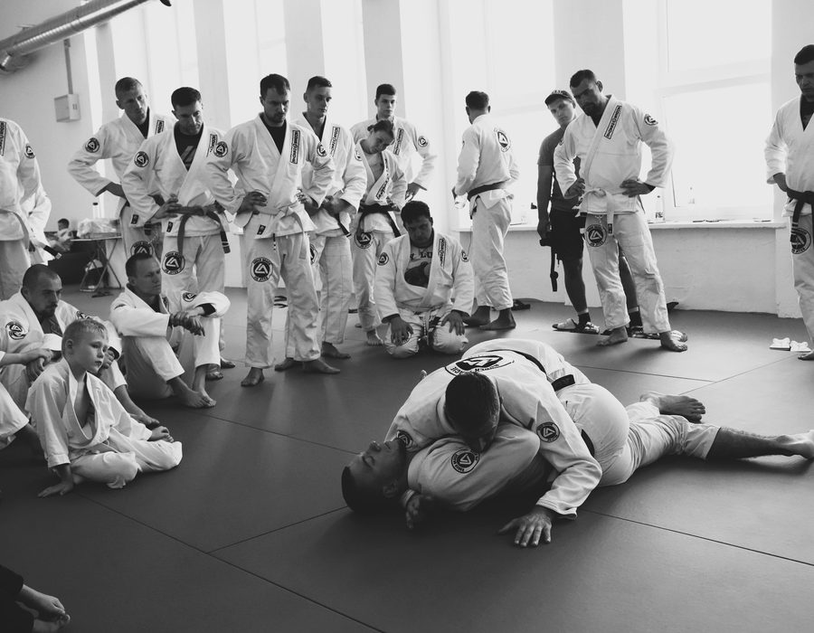 Roger Gracie Academy